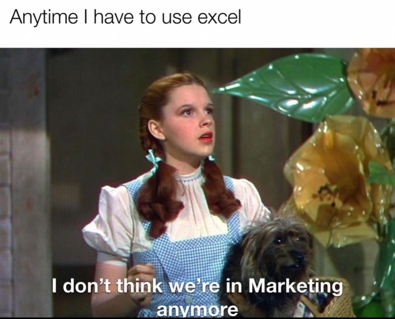 Meme: Says Anytime I use excel... Dorthey to Toto, I don't think we're in Marketing anymore 