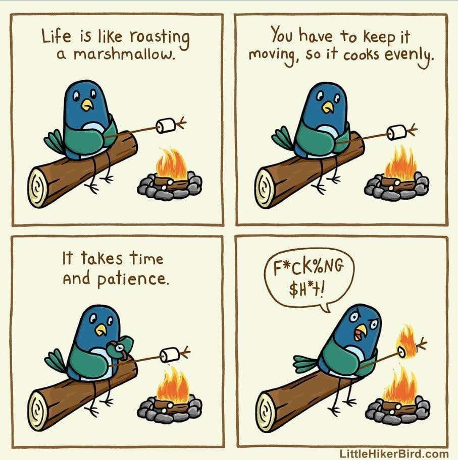 Bird sitting on log roasting marshmallow. Gets mad at the end when he sets the marshmallow on fire.