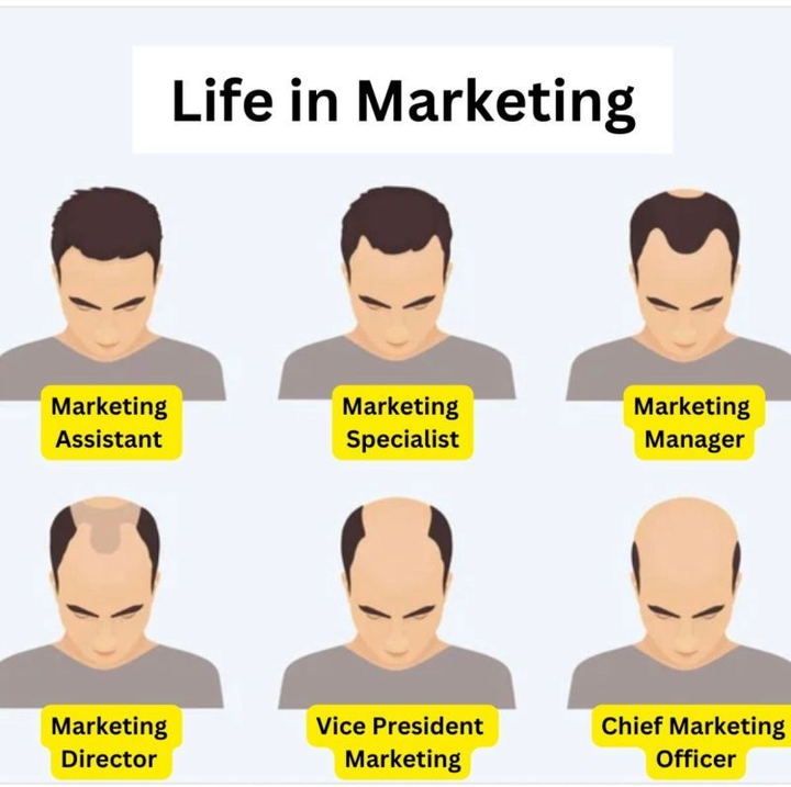 Varying hairlines of different marketing positions. CMO has no hair. Marketing assistant has the most.