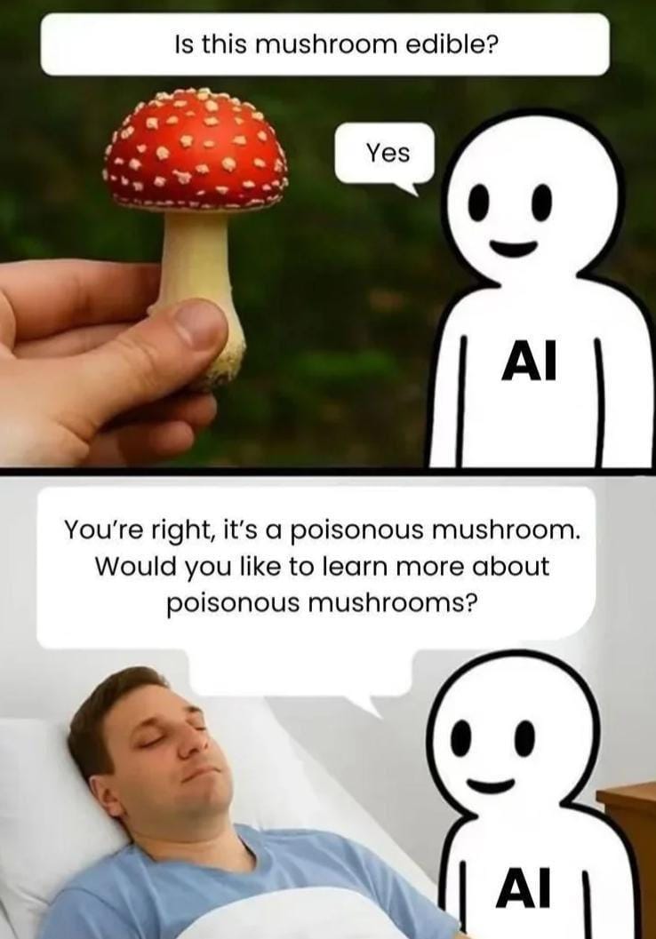 Man asks AI if a mushroom is safe. AI says yes. Next frame: You're right, says AI, it's a poisonous mushroom. Would you like to learn more about poisonous mushrooms? to man sick in bed with eyes closed.